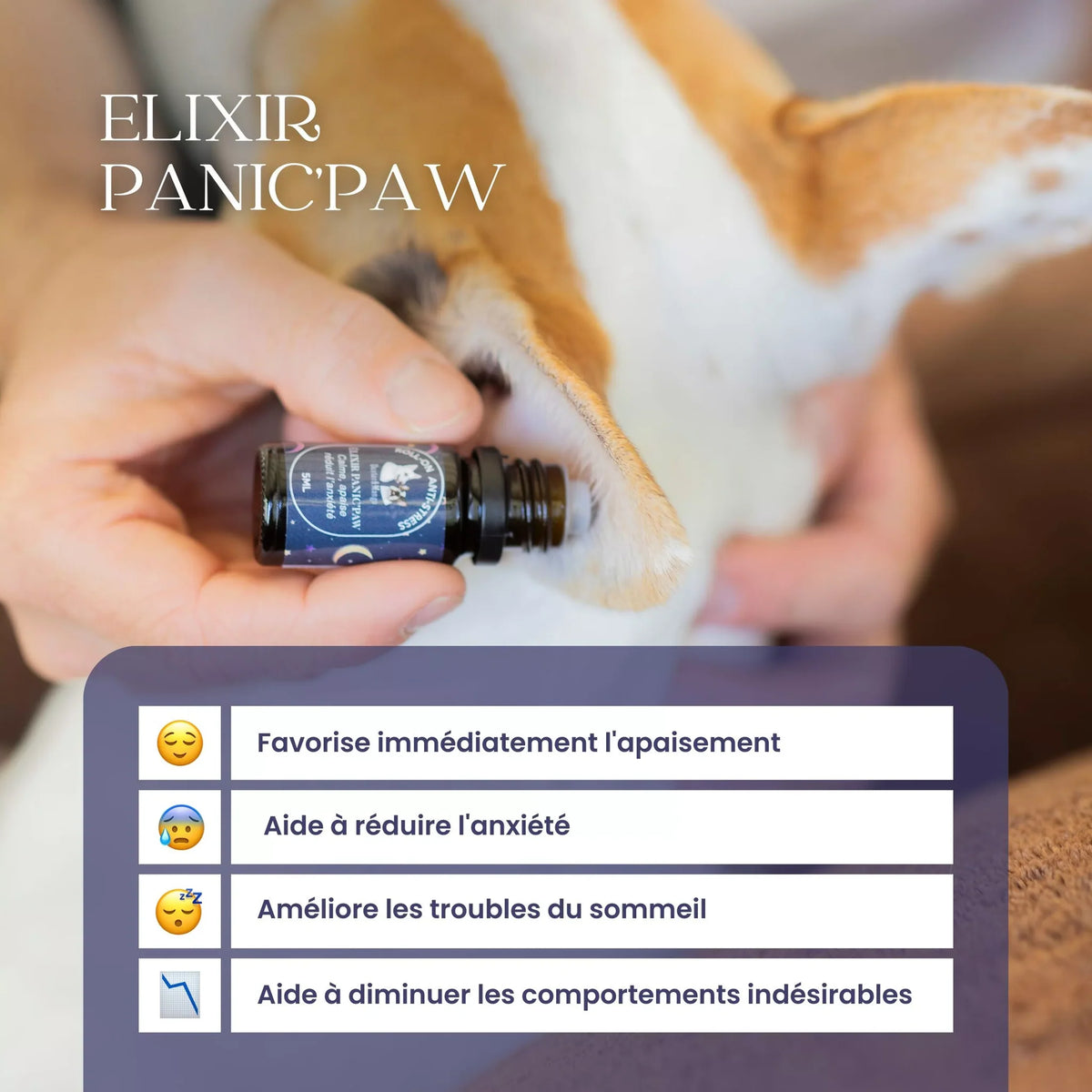 Panic-Paw â Roll-on apaisant pour chien