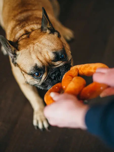 Peluche Bretzel pour chien
