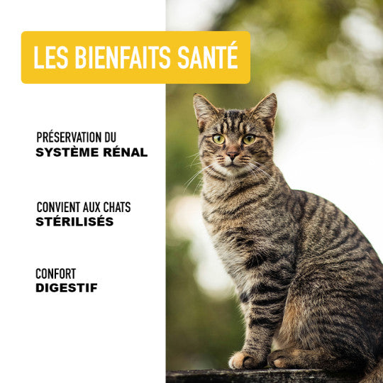 Croquettes pour chat- Poulet- ATAVIK