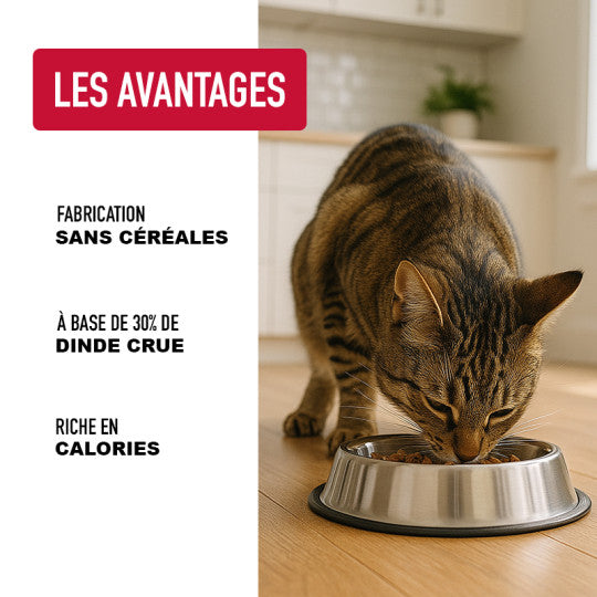 Croquettes pour chat Dinde, Poulet et Canard – ATAVIK