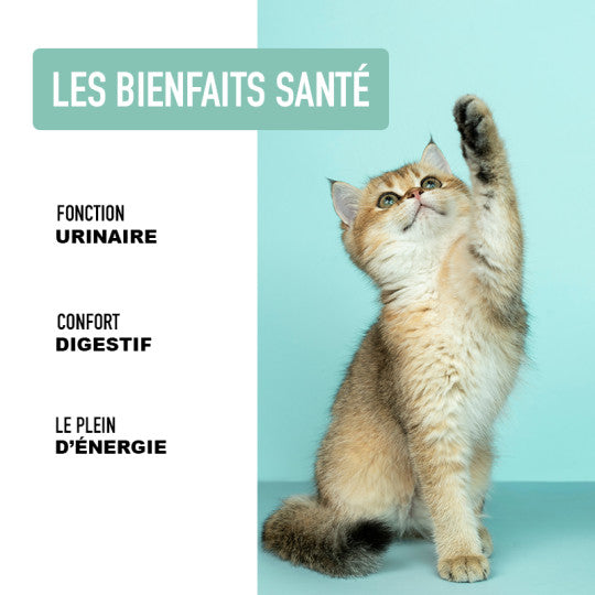 Croquettes pour chaton sans céréales Volaille et myrtilles– ATAVIK