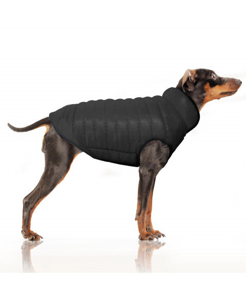 𧄠Doudoune réversible pour chien