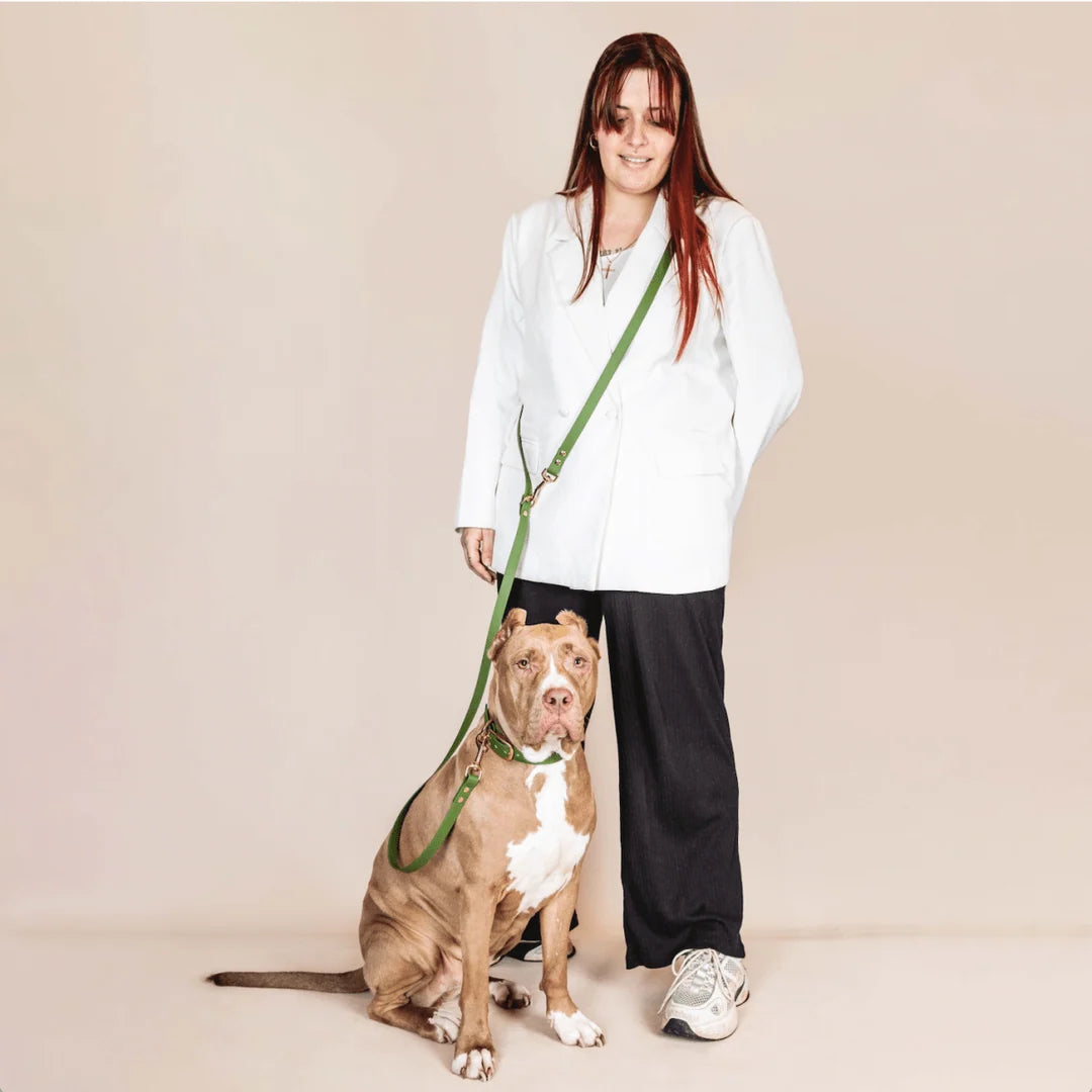 Laisse multi positions-VERT OLIVE