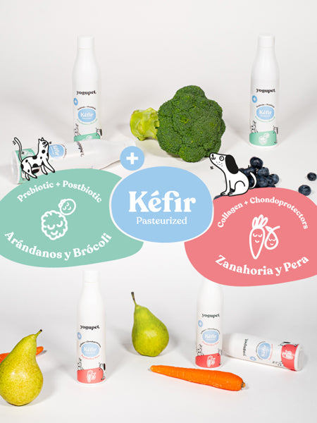 Kéfir Yogupet pour chiens et chats – Carotte et poire