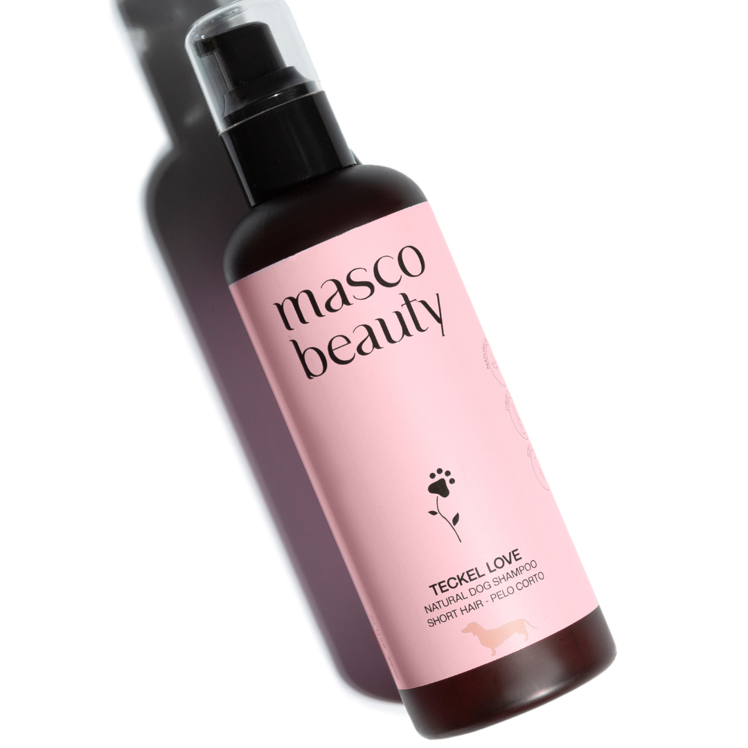 Shampoo pour chien teckel à poil court