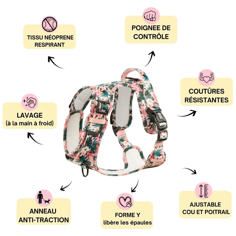 Harnais Comfy anti-traction TROPICOOL