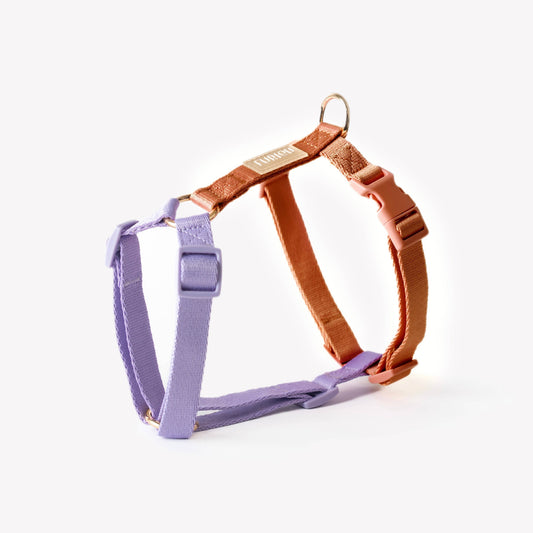 harnais Strap-Lavender et Terracotta
