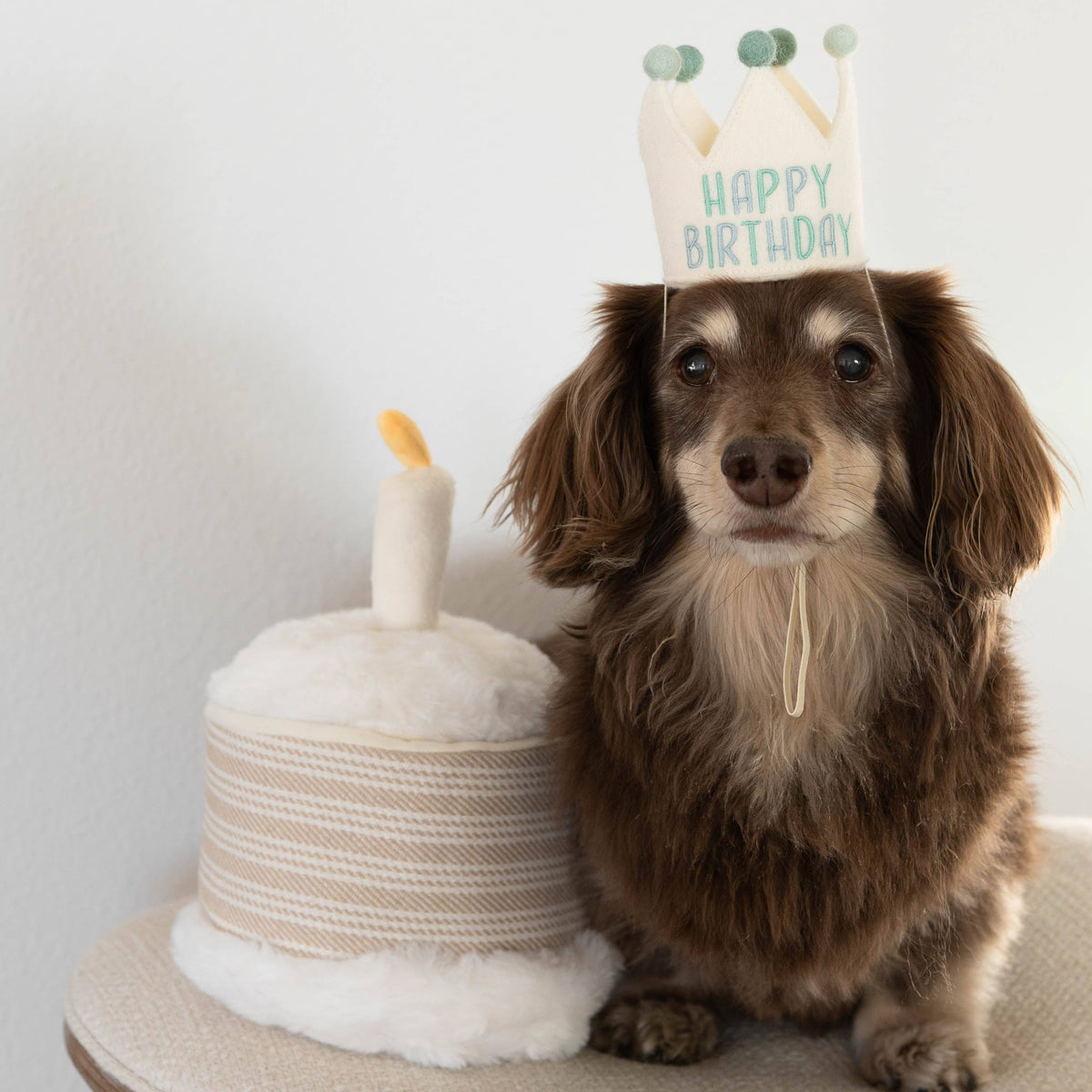 Jouet d’occupation Gâteau d’anniversaire