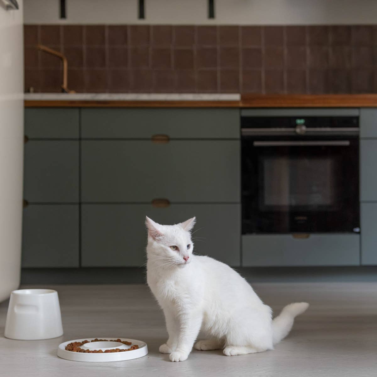 Gamelle surélevée en porcelaine pour chat