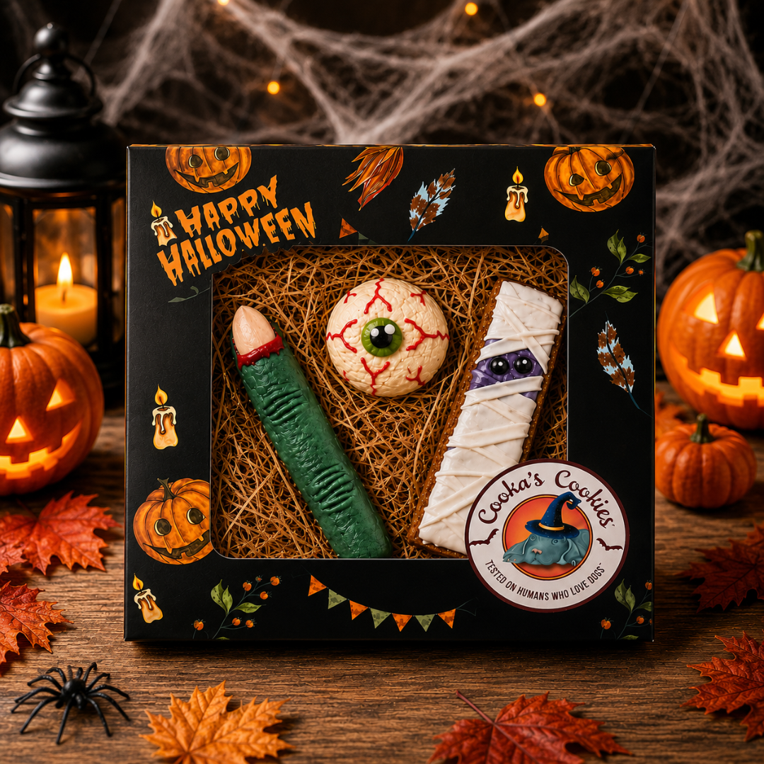 Boîte effrayante - Friandises gourmandes pour chiens d'Halloween