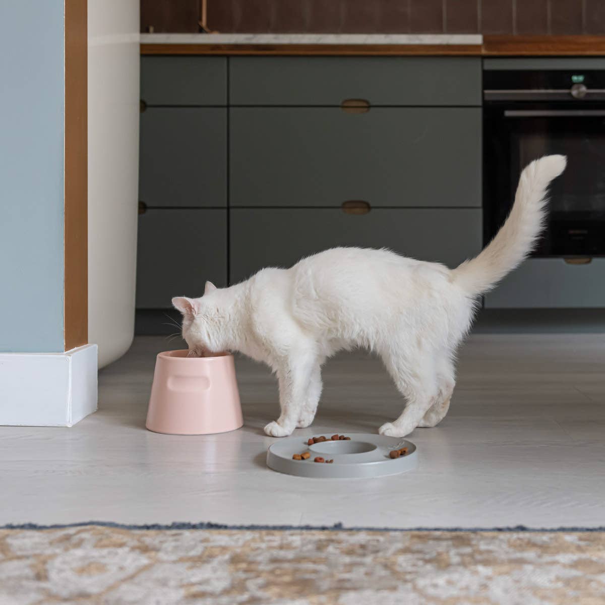 Gamelle surélevée en porcelaine pour chat