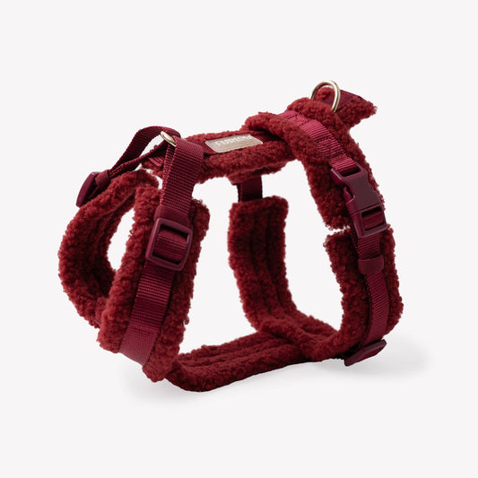 Harnais Sherpa -Bordeaux