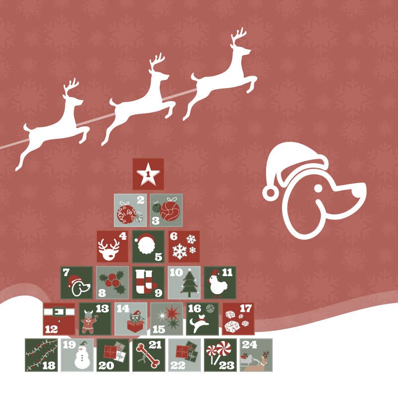 CALENDRIER DE L'AVENT pour chien