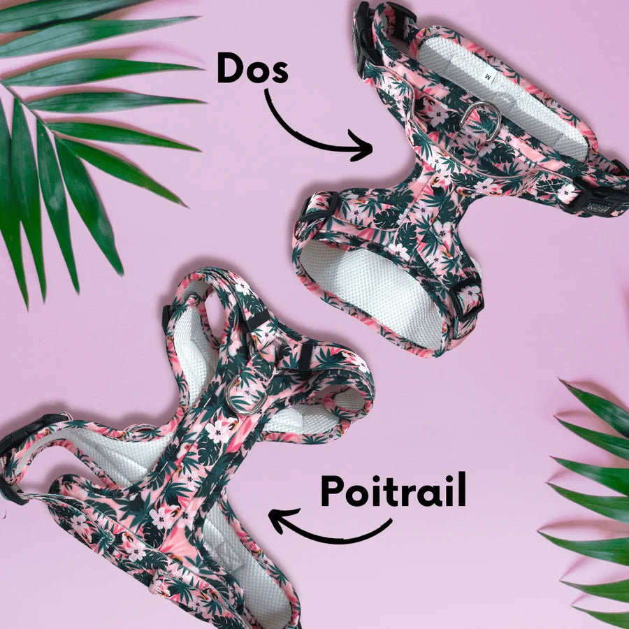 Harnais Comfy anti-traction TROPICOOL