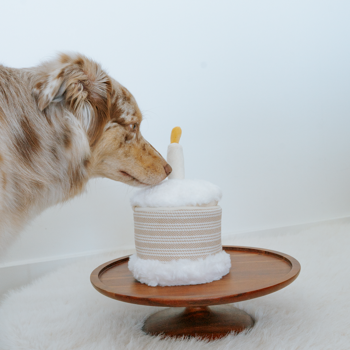 Jouet d’occupation Gâteau d’anniversaire