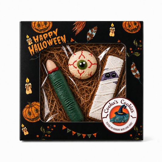 Boîte effrayante - Friandises gourmandes pour chiens d'Halloween