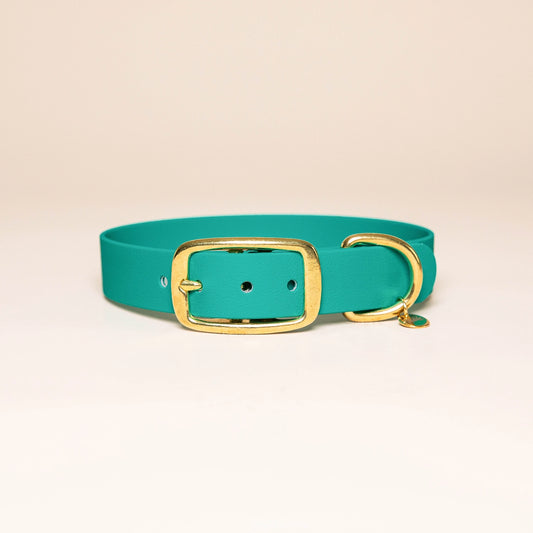 Collier l'Aventurier VERT PAON