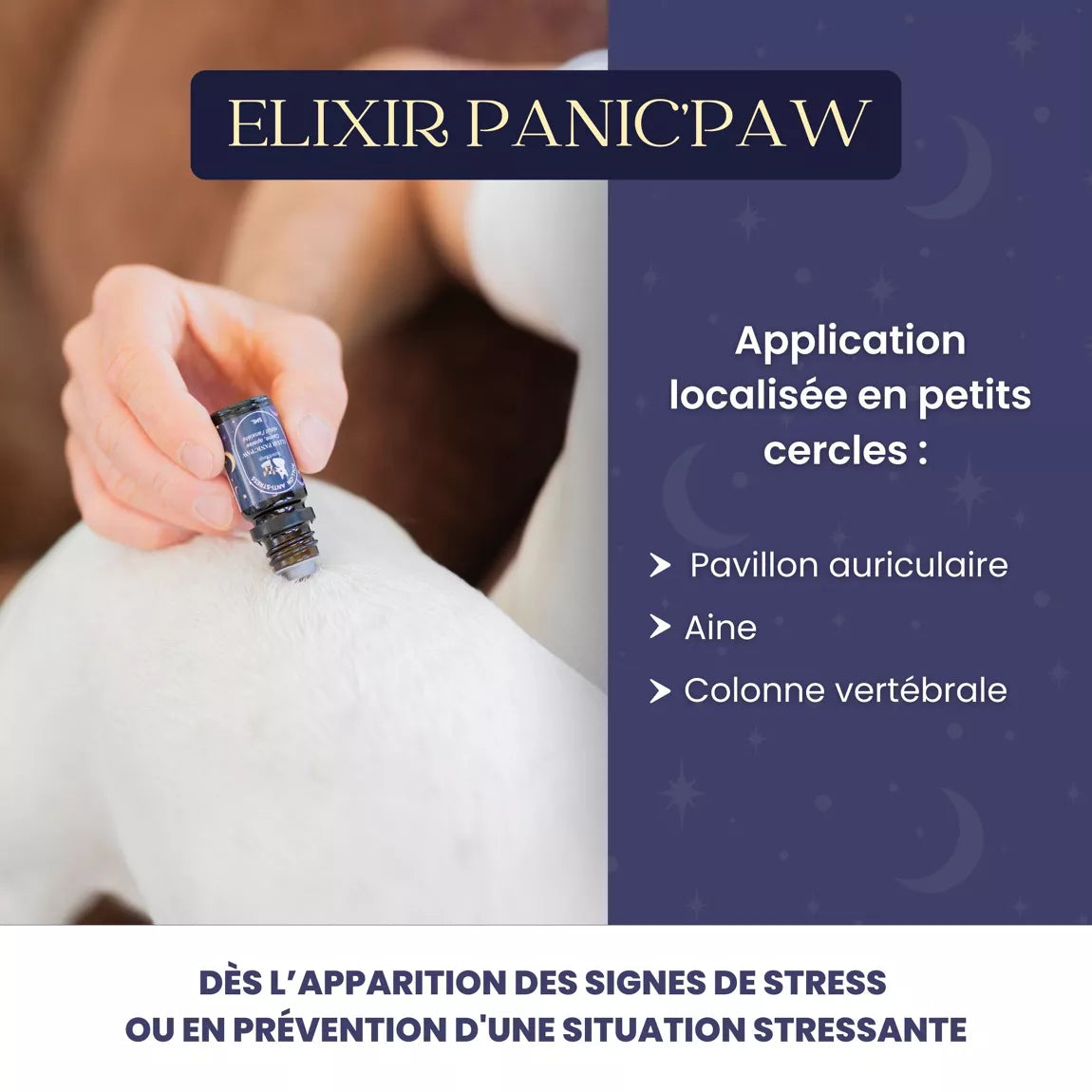 Panic-Paw – Roll-on apaisant pour chien