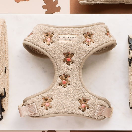 Harnais brodé Teddy