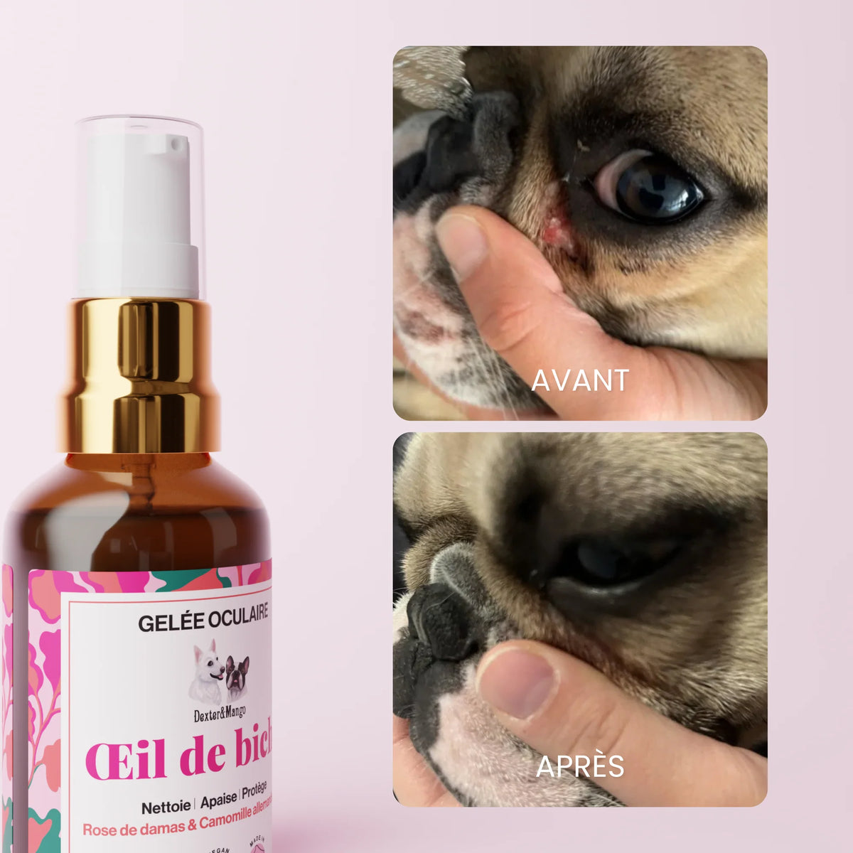 Œil de biche : Gelée oculaire pour chien