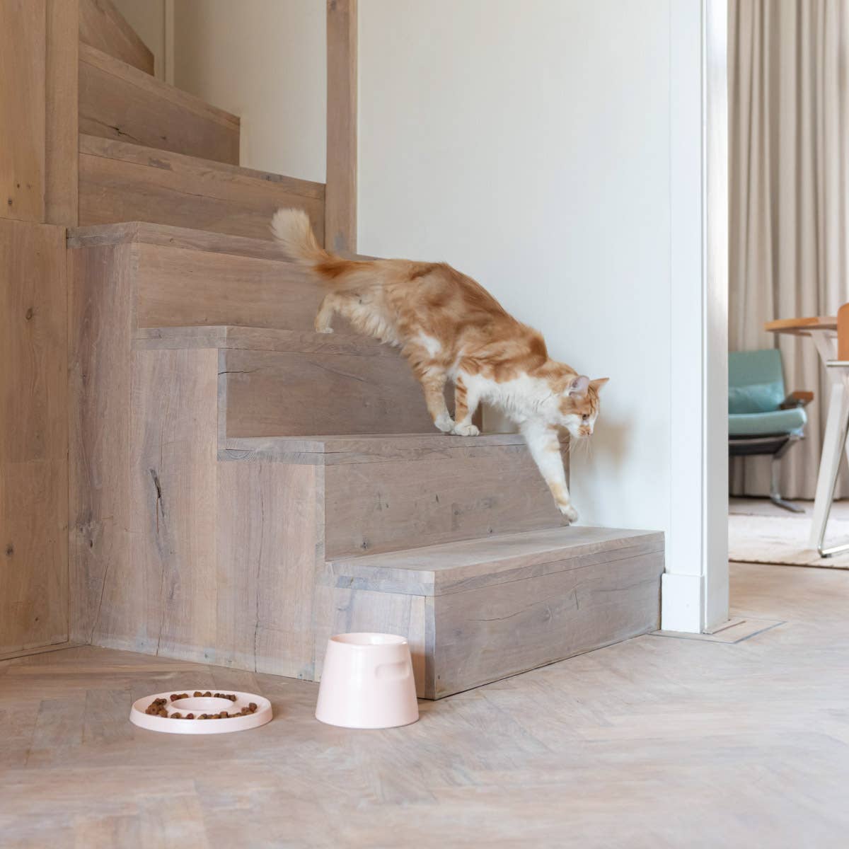 Gamelle surélevée en porcelaine pour chat