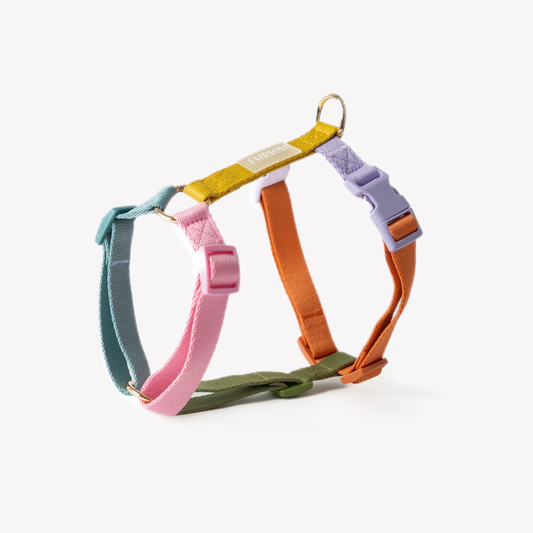 Harnais Strap Furlou – Rainbow
