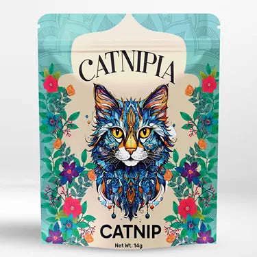 Catnip- Herbe à chat-