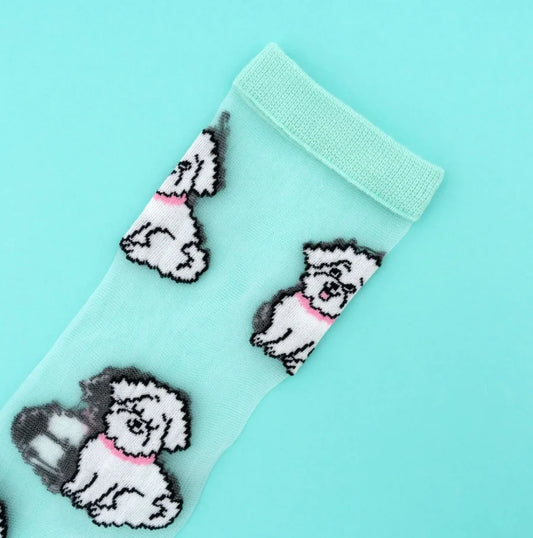 Chaussettes transparentes Bichons frisés