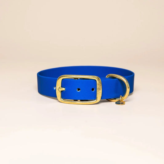 Collier l'Aventurier BLEU ROI
