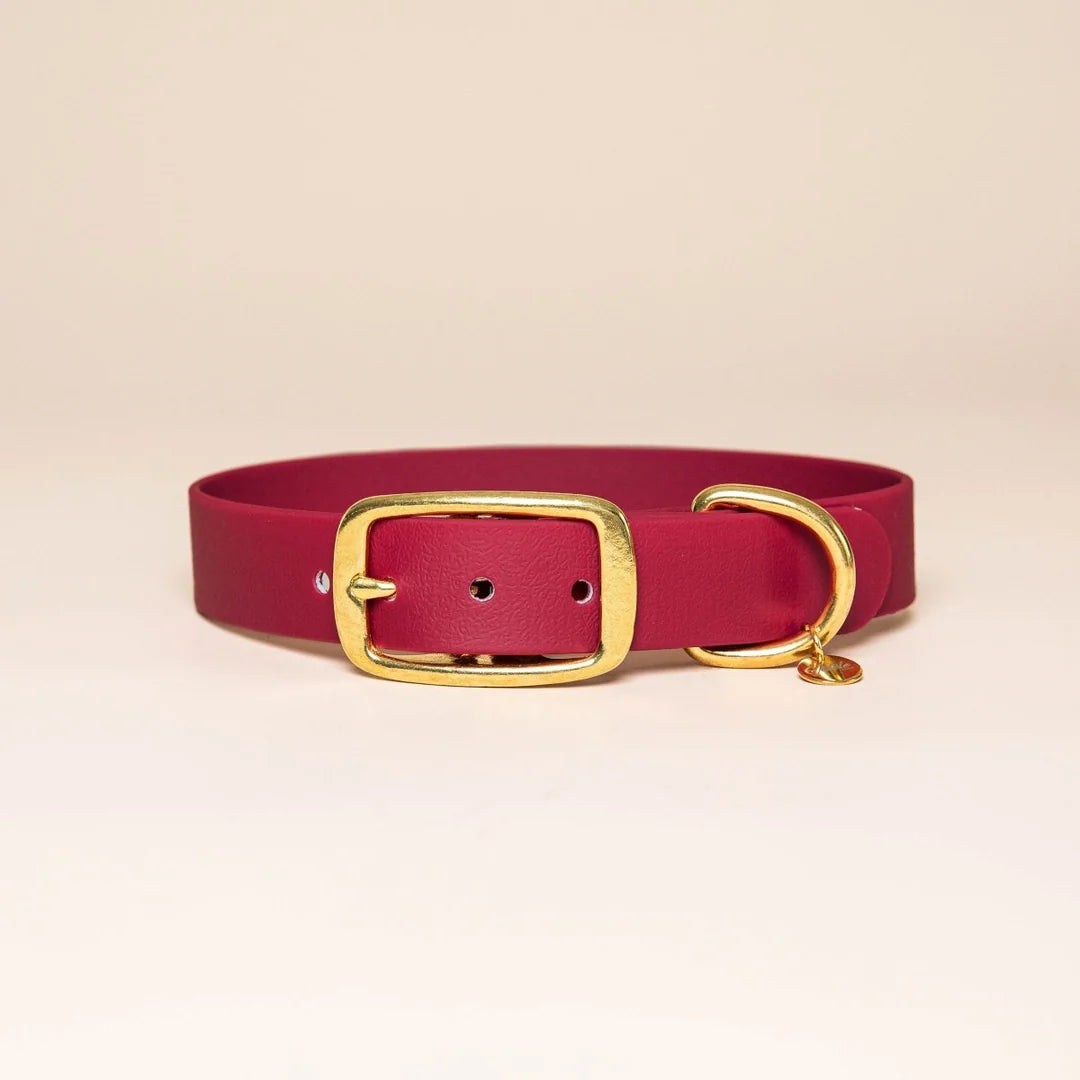 Collier l'Aventurier BORDEAUX