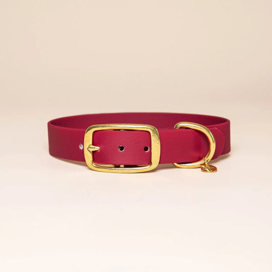 Collier l'Aventurier BORDEAUX