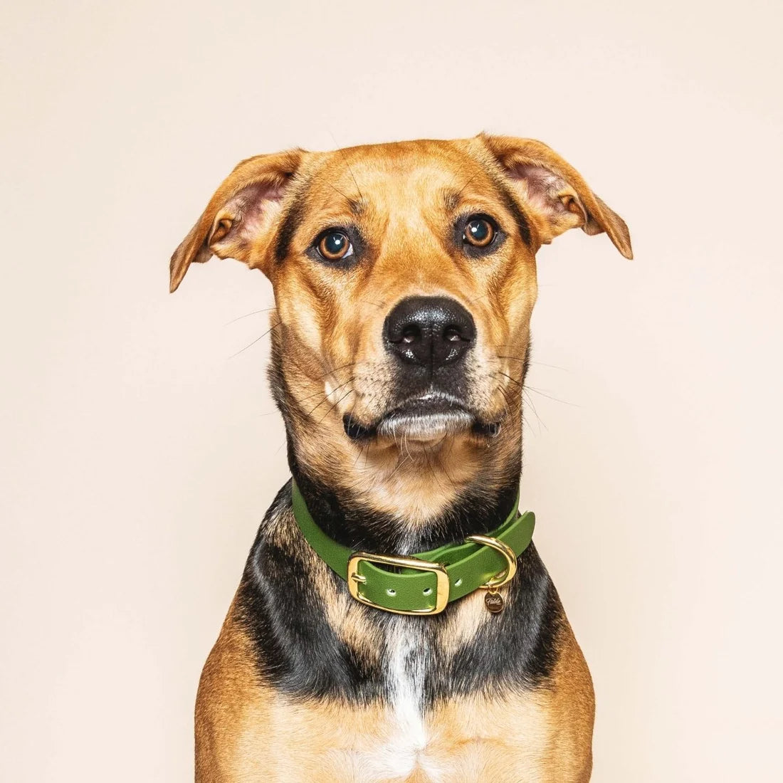 Collier l'Aventurier VERT OLIVE