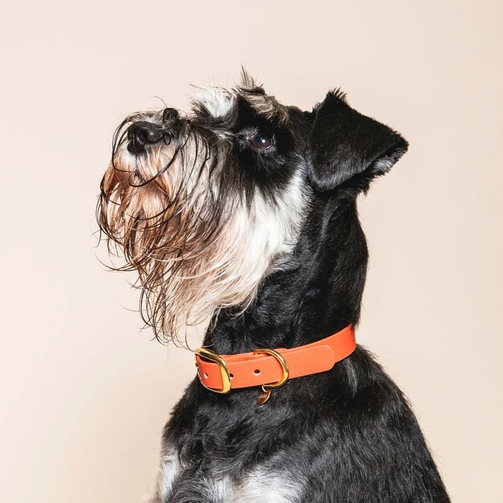 Collier l'Aventurier TERRACOTTA