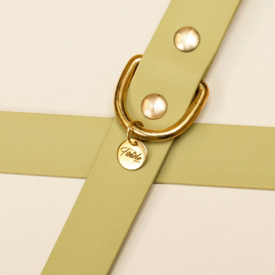 Collier pour chien vert tilleul