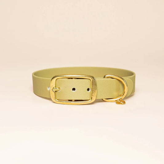 Collier pour chien vert tilleul