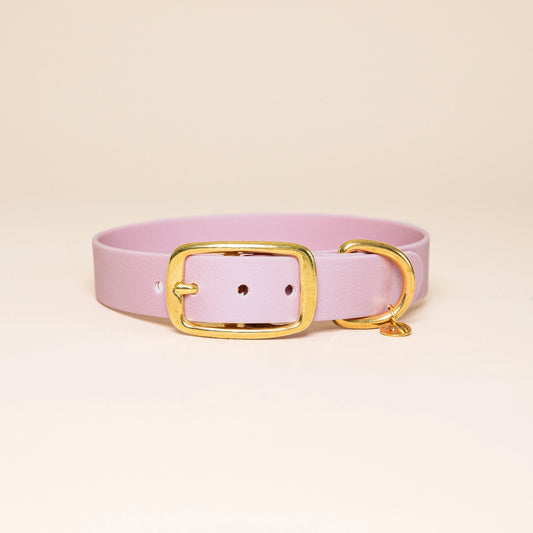 Collier l'Aventurier LILA