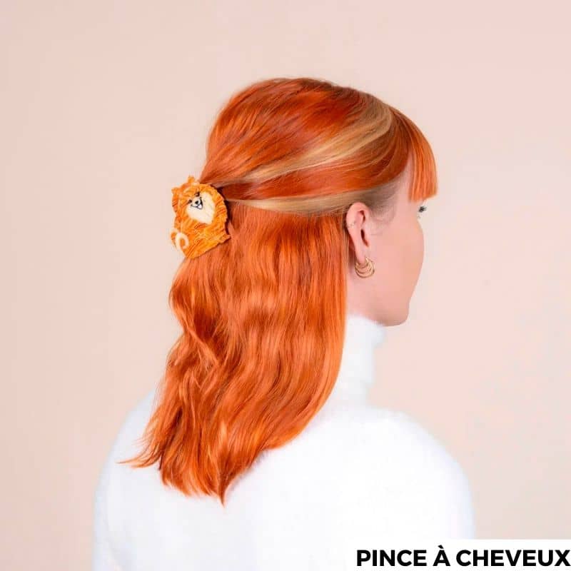 Pince à cheveux Spitz