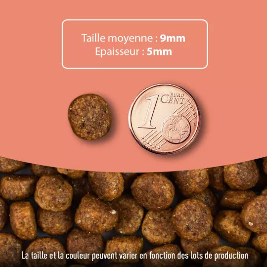 Croquettes pour chat Saumon Made in France – ATAVIK