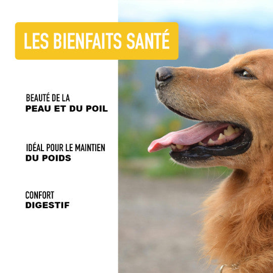Croquettes au poulet pour chiens-sans céréales- Atavik