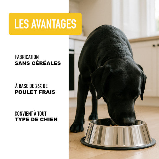 Croquettes au poulet pour chiens-sans céréales- Atavik