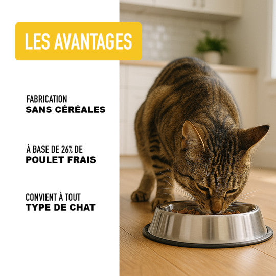 Croquettes pour chat- Poulet- ATAVIK