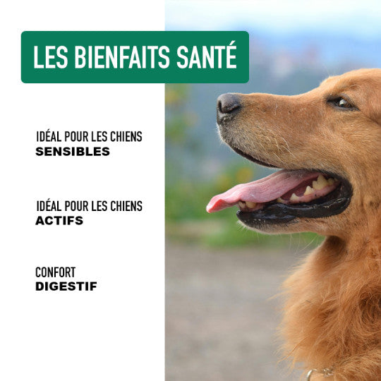 Croquettes pour chiens sans céréales Truite riche en Canard ATAVIK