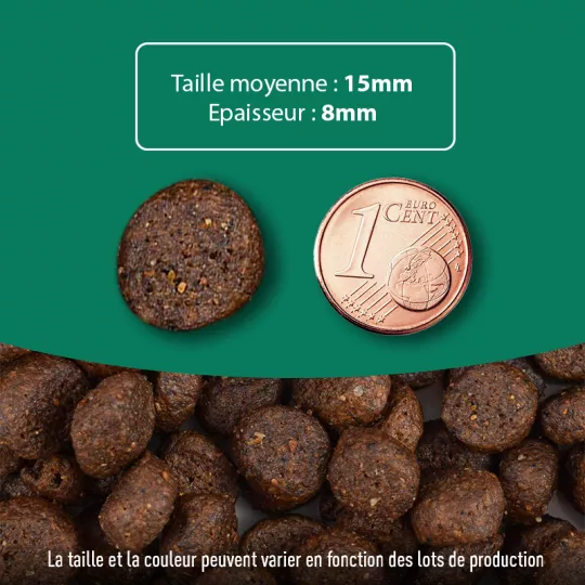 Croquettes pour chiens sans céréales Truite riche en Canard ATAVIK