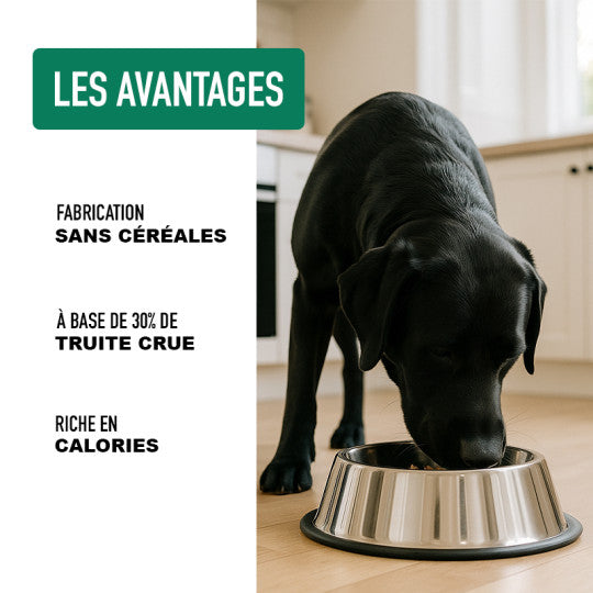 Croquettes pour chiens sans céréales Truite riche en Canard ATAVIK