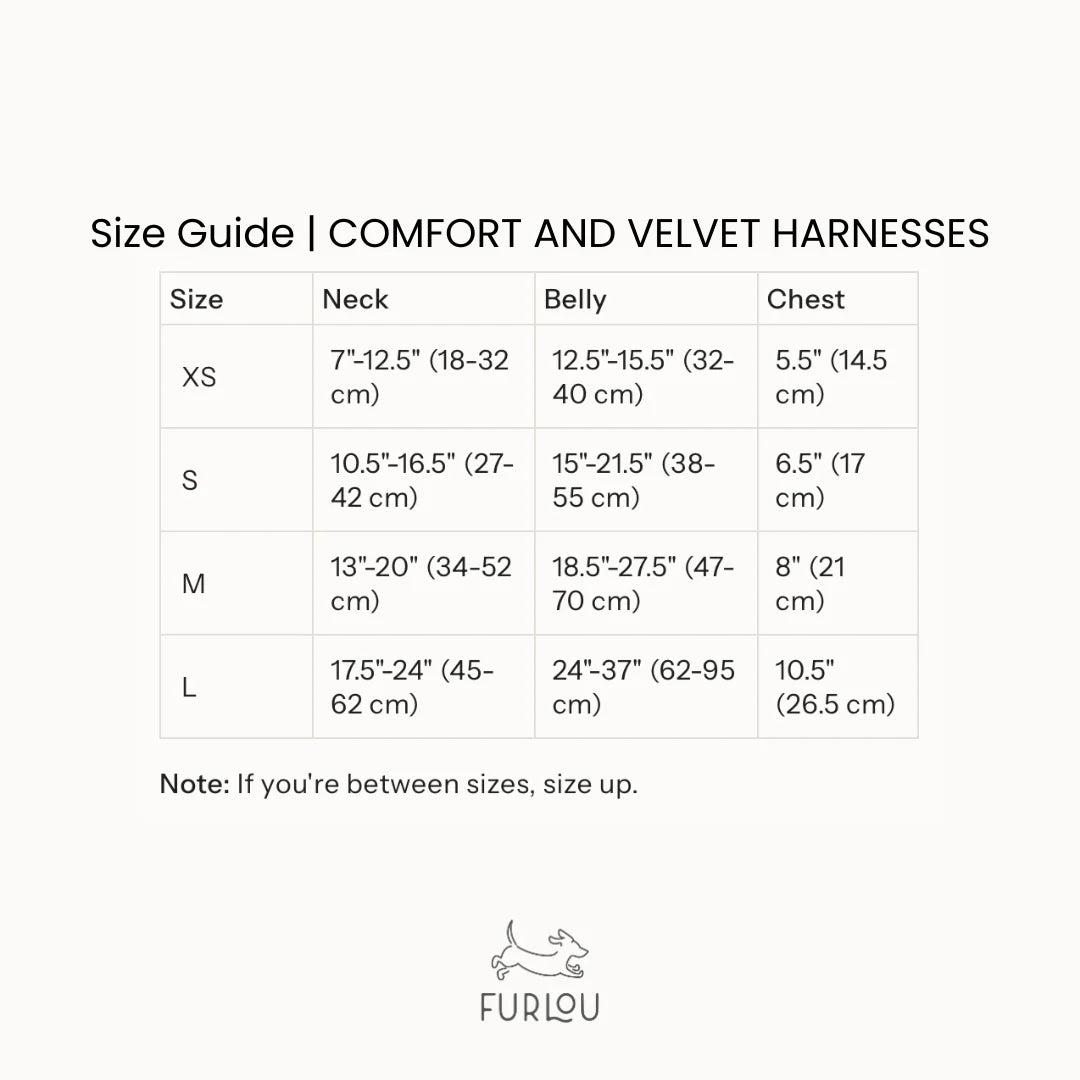 Harnais Furlou VELVET LILA
