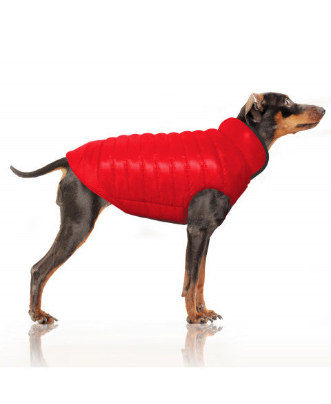 🧥 Doudoune réversible pour chien