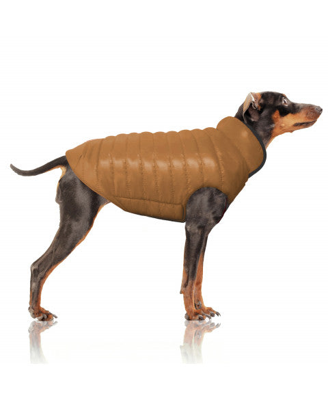 🧥 Doudoune réversible pour chien