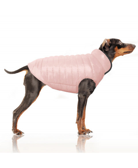 🧥 Doudoune réversible pour chien