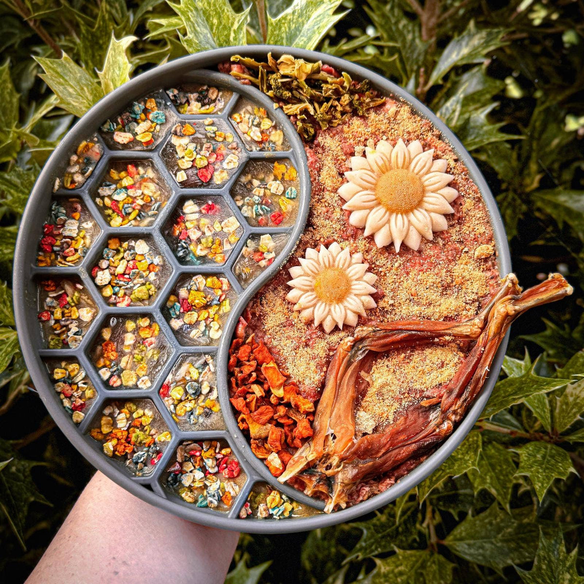 Rainbow Dogfetti - Paillettes superaliments pour gâteau et nourriture