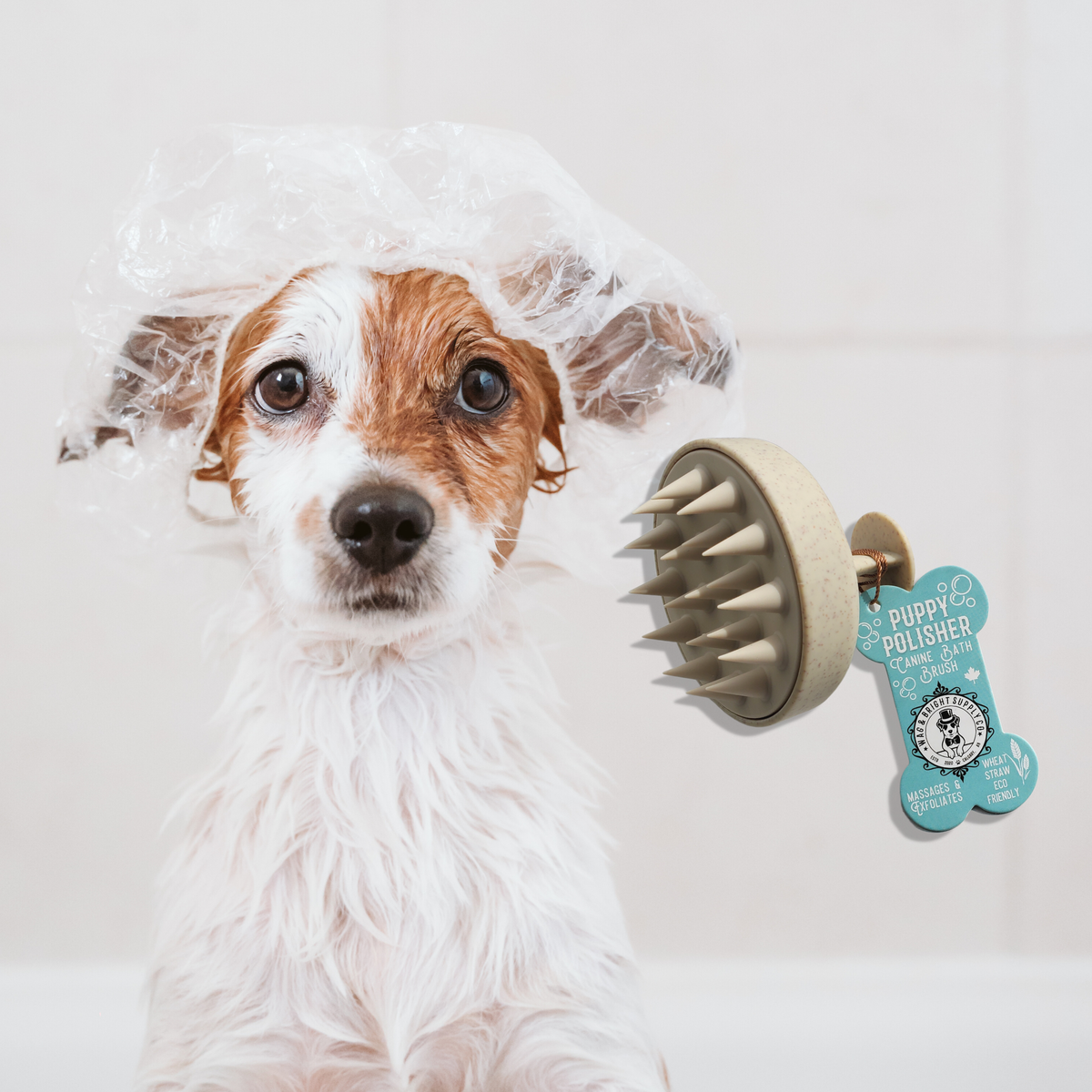 Brosse massante Puppy Polisher pour shampoing et toilettage